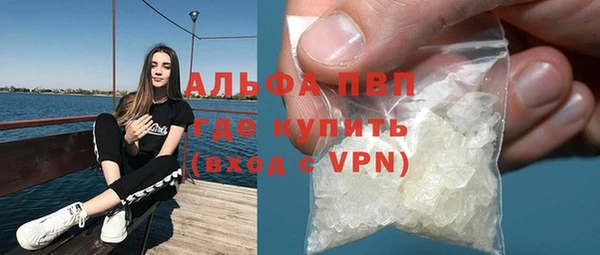 индика Алексин