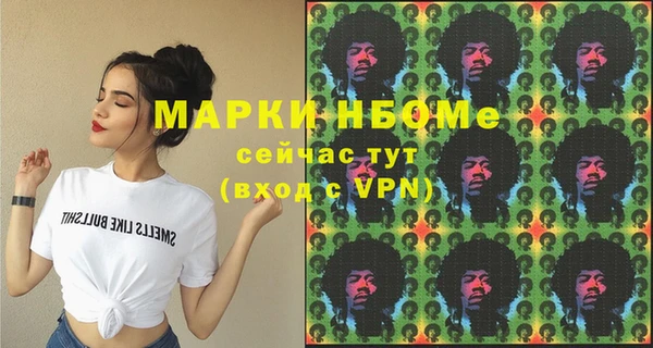 индика Алексин