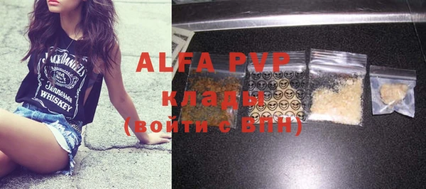 индика Алексин