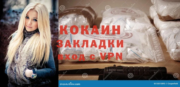 индика Алексин