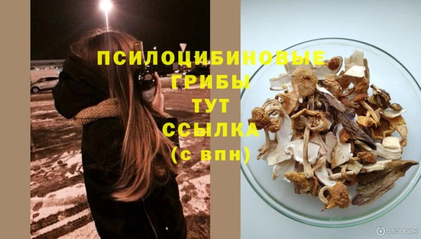 индика Алзамай