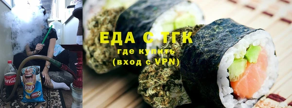 индика Алзамай