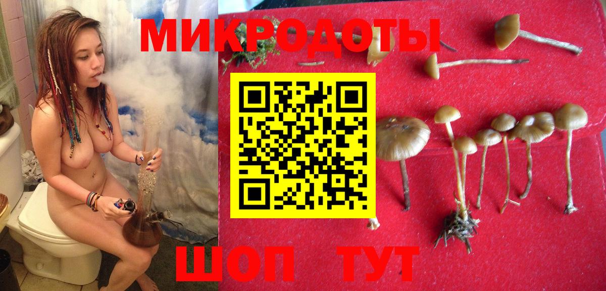 Галлюциногенные грибы прущие грибы Людиново