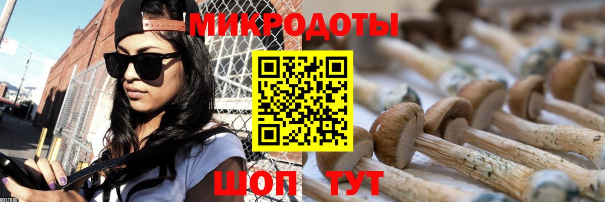 Псилоцибиновые грибы GOLDEN TEACHER  Вход с VPN  даркнет сайт  Людиново  Галлюциногенные грибы Psilocybine cubensis 